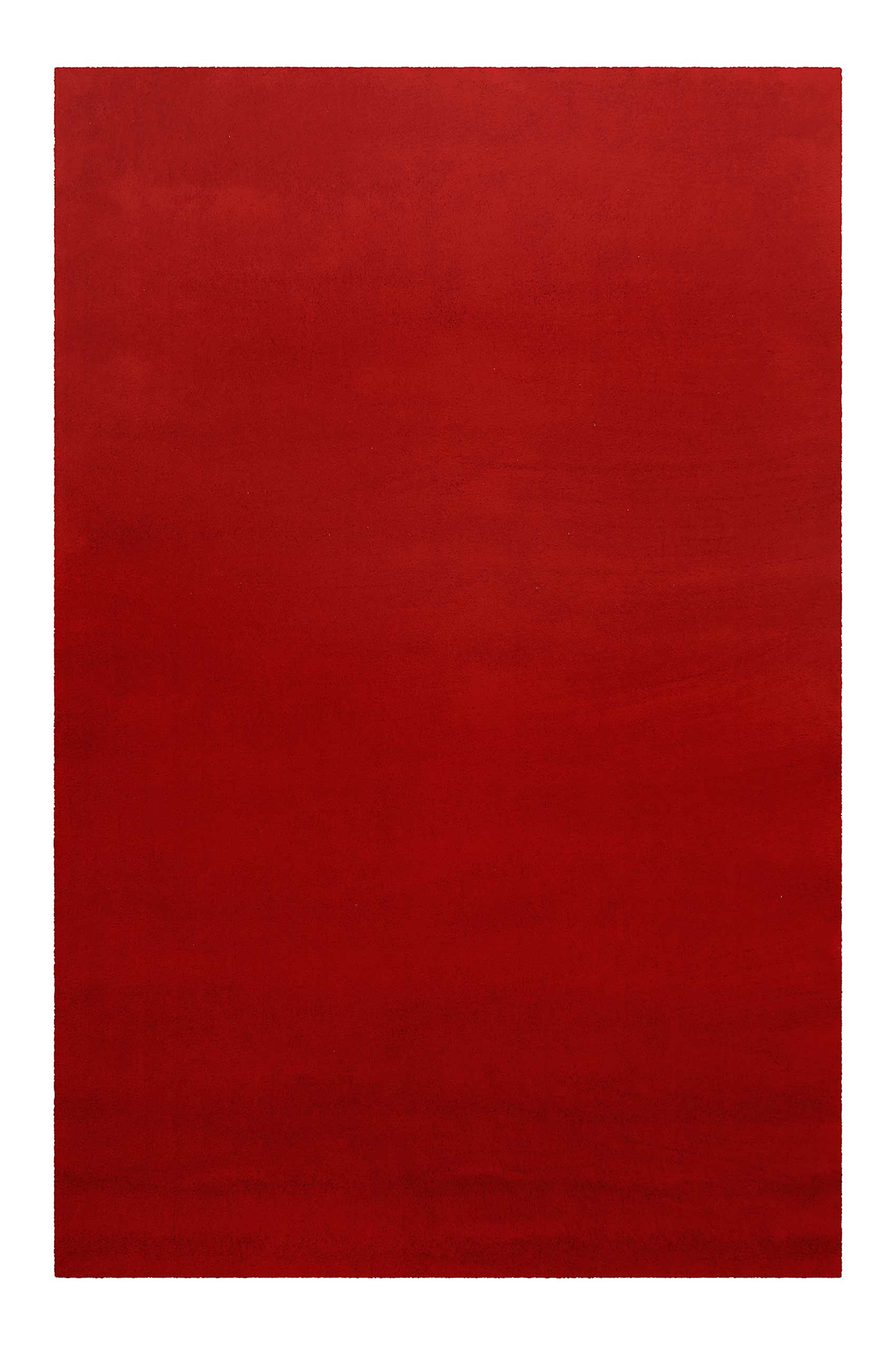 Teppich Rot Kurzflor aus Wolle 