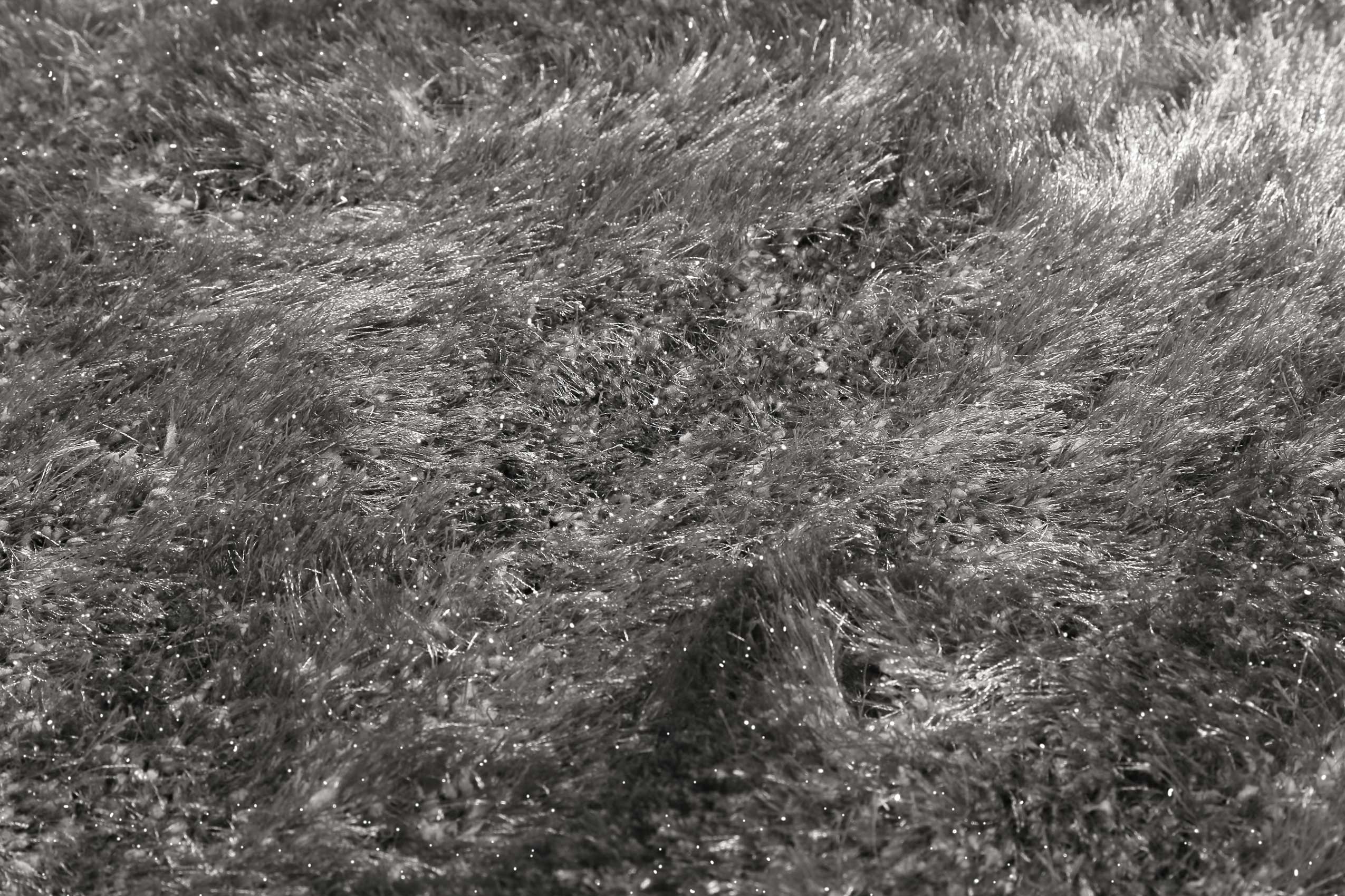 Teppich Rund Grau glänzend Hochflor » Shiny Touch « WECONhome - Ansicht 5
