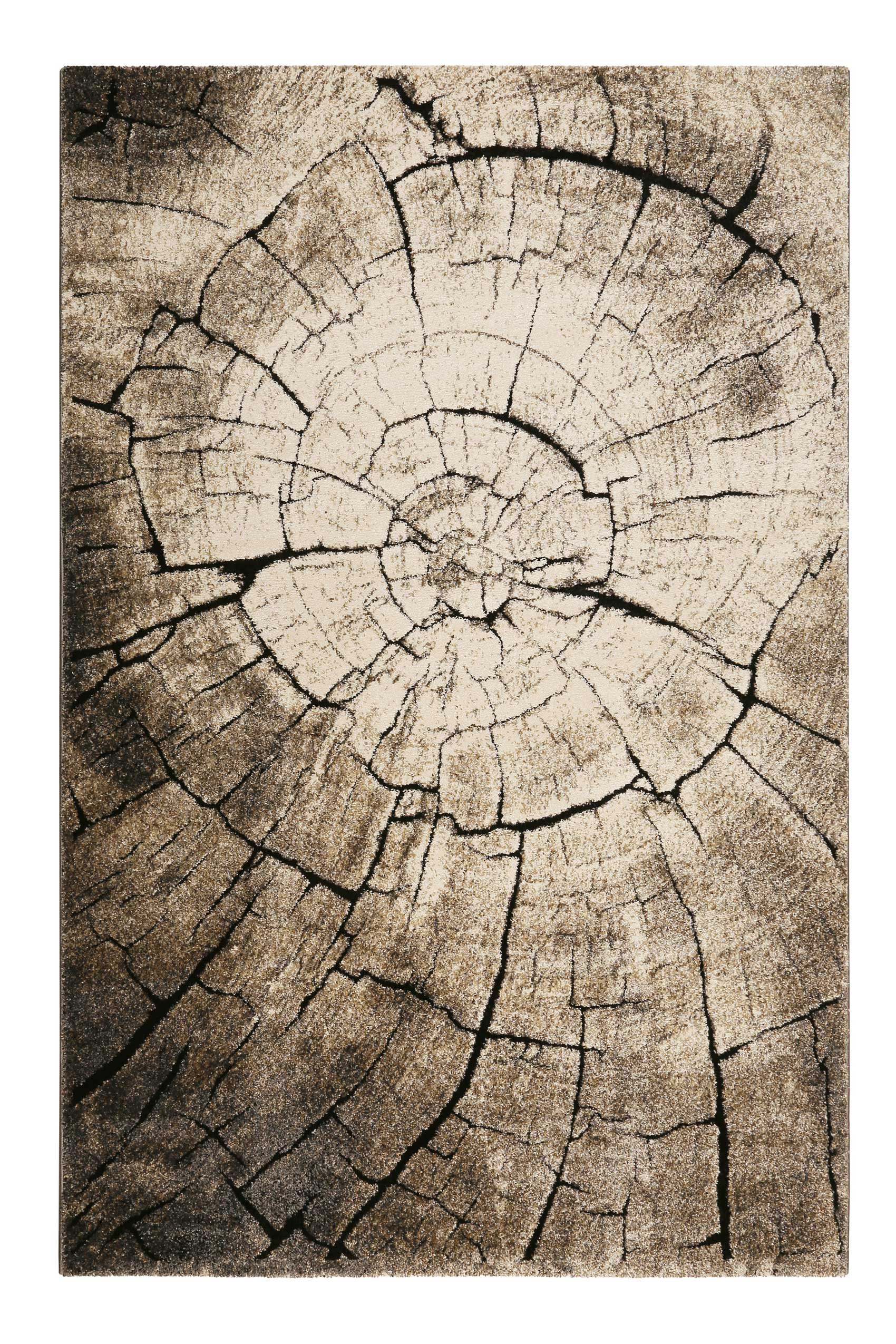 WECONhome Kurzflor Teppich » Wild Oak « holz braun - Ansicht 1